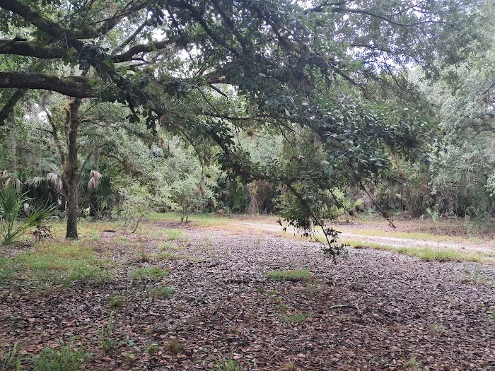 Chandler Slough West Campsite Picture 5