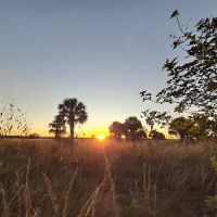 Chandler Slough West Campsite ico