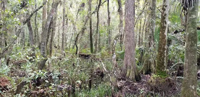 Fort Drum Marsh Conservation Area Group Camping Picture 9