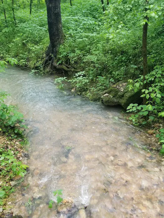 North Fork Recreation Area Picture 8