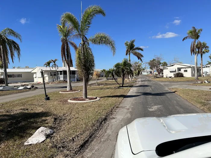 Palmetto Palms RV Resort Picture 4