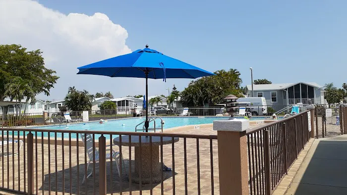 Palmetto Palms RV Resort Picture 3