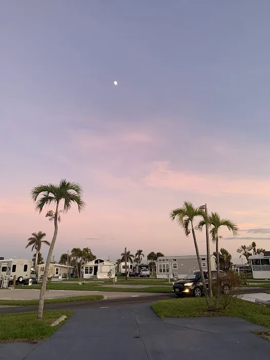 Palmetto Palms RV Resort Picture 7