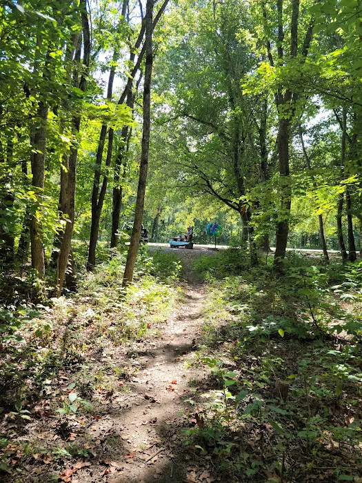 Patrick Bridge Access Campground Missouri department of conservation mdc Picture 8