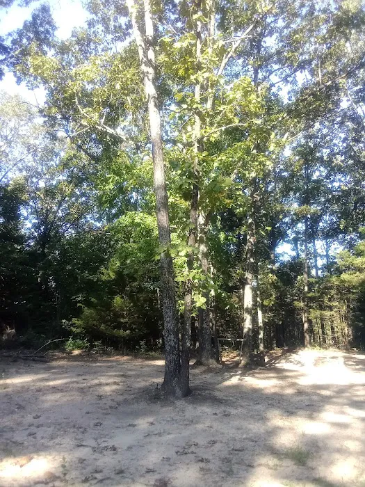 Spot on Top Campgrounds Picture 10
