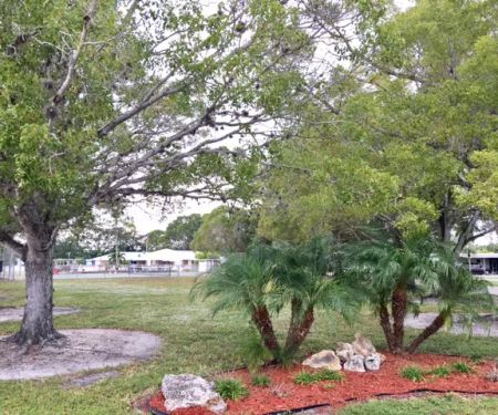 Century 21 Mobile Home Community