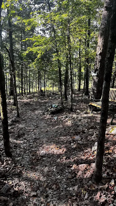 Rocky Top Campgrounds & Cabins Picture 10
