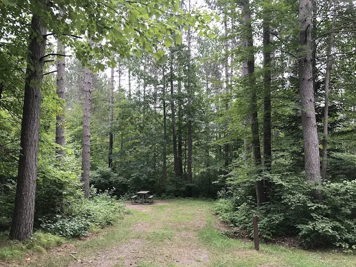 Day Lake Campground Picture 6