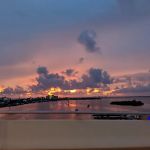 Gulf Cove Inc
