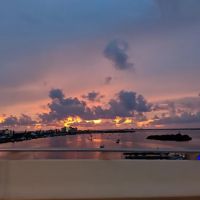 Gulf Cove Inc ico