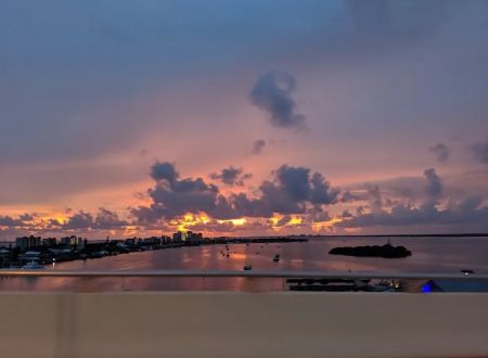 Gulf Cove Inc