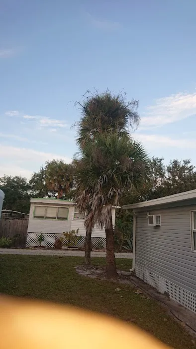 Gulf Cove Inc Picture 9