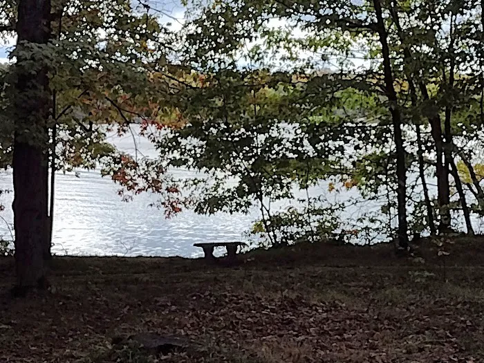Namekagon Campground Picture 10