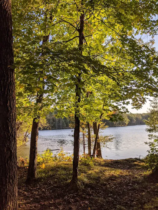 Two Lakes Campground Picture 8