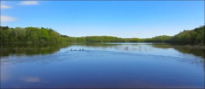 Drummond Lake Campground Picture 4