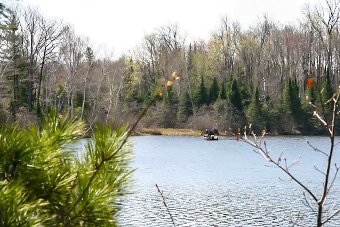 Drummond Lake Campground Picture 7