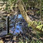 Prentice Park City Campground