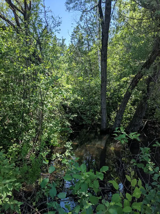 Prentice Park City Campground Picture 10