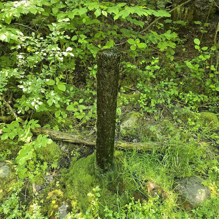 Prentice Park City Campground Picture 4