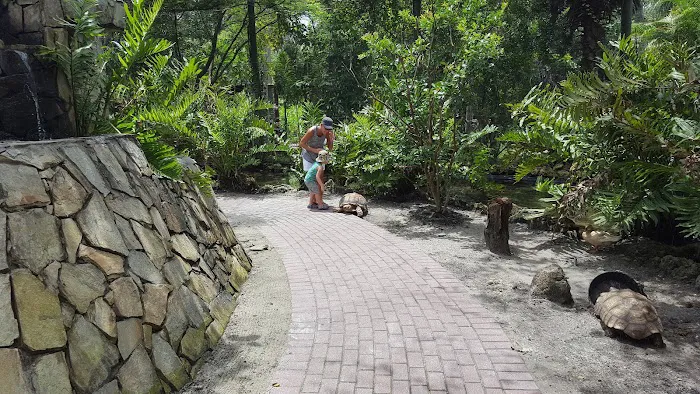 Lake Arrowhead Village Picture 10