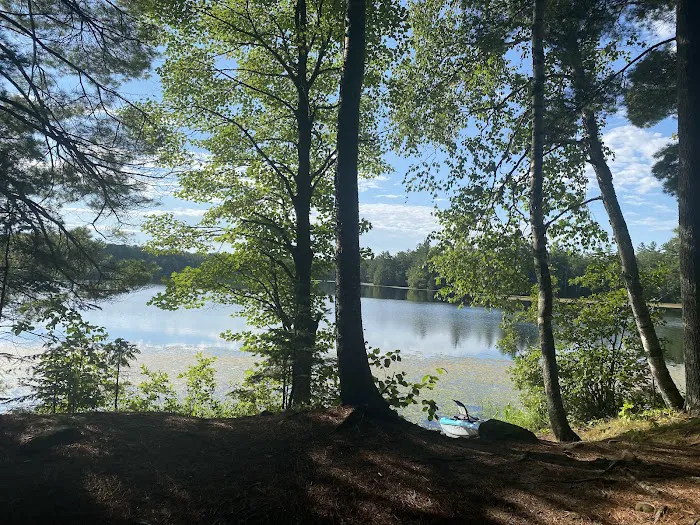 Perch Lake Campground Picture 2