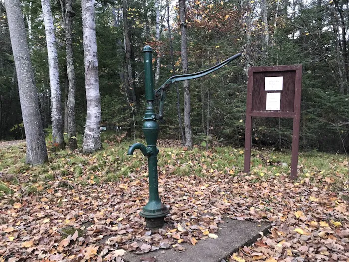 Perch Lake Campground Picture 10