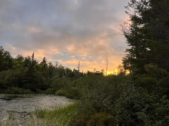 Perch Lake Campground Picture 5