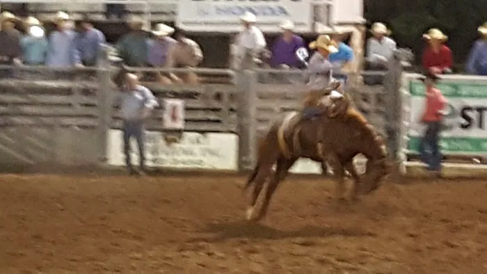 Dallas County Fair Campgrounds Picture 5