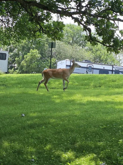Shady Brook Camping & RV Adventures, LLC Picture 1