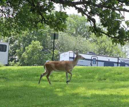 Shady Brook Camping & RV Adventures, LLC