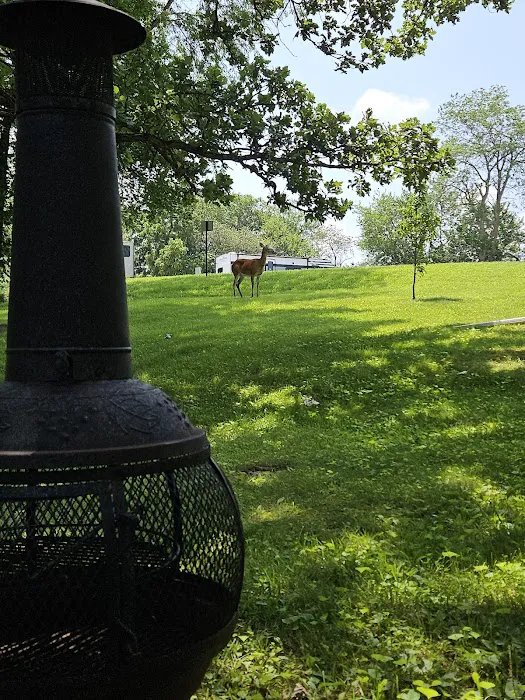 Shady Brook Camping & RV Adventures, LLC Picture 10