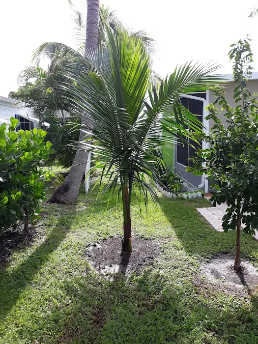 Sunny South Estates Picture 3