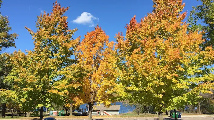 Cleary Lake Regional Park Campground Picture 3