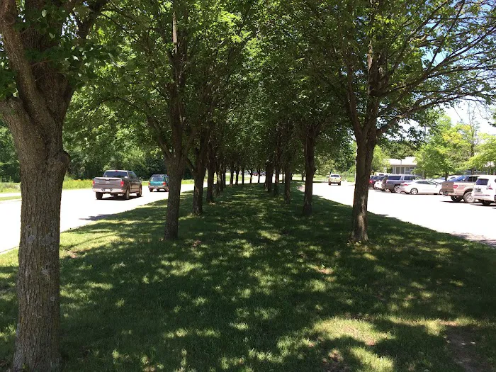 Cleary Lake Regional Park Campground Picture 7