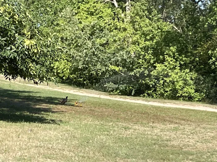 Fish Lake Acres Campground Picture 9