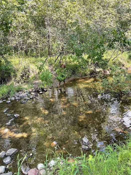 Lil’ Bit Campground Picture 2