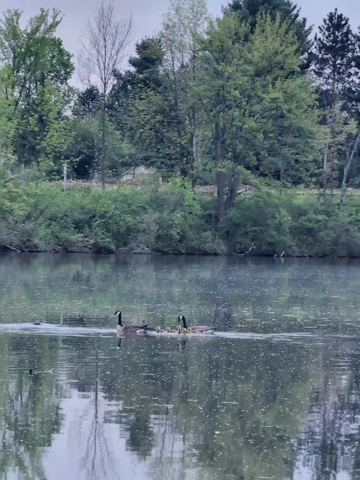Doolittle Park Picture 9