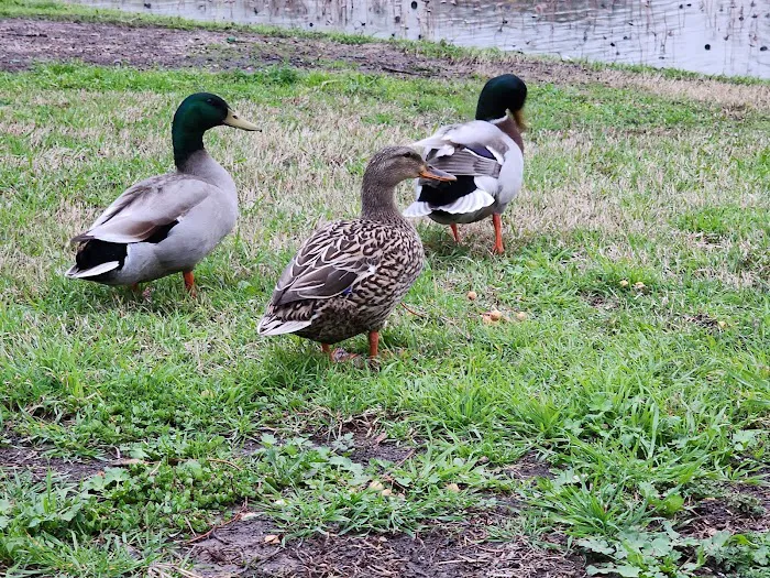 Lakeside RV Park Picture 9