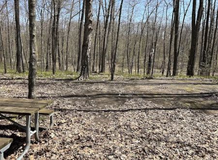 Washburn County Sawmill Park Campground
