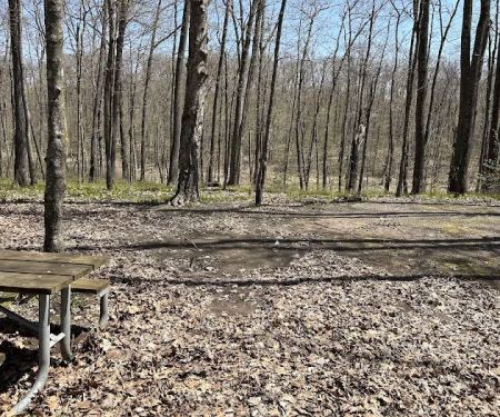 Washburn County Sawmill Park Campground