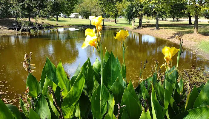 Canton Creek RV Park Picture 9