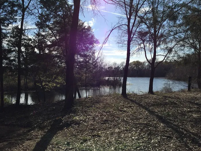 Rolling Oaks RV Park Picture 3
