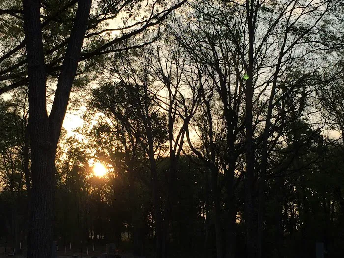 Rolling Oaks RV Park Picture 4