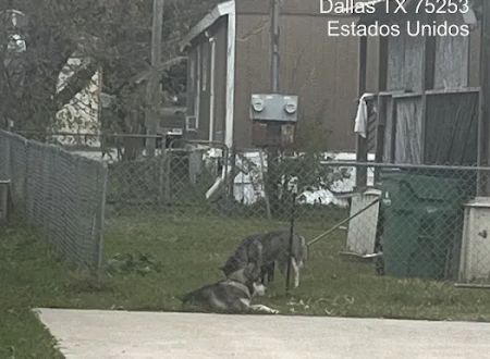 La Comunidad