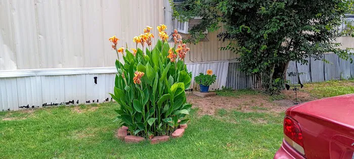 Texas Shade Mobile home Park Picture 8