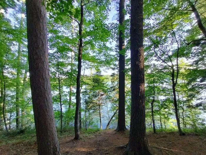 Tamarack Campsite Picture 8