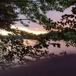 Tamarack Campsite
