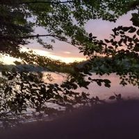 Tamarack Campsite ico