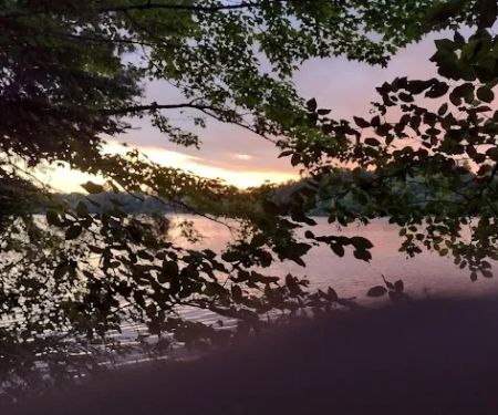 Tamarack Campsite