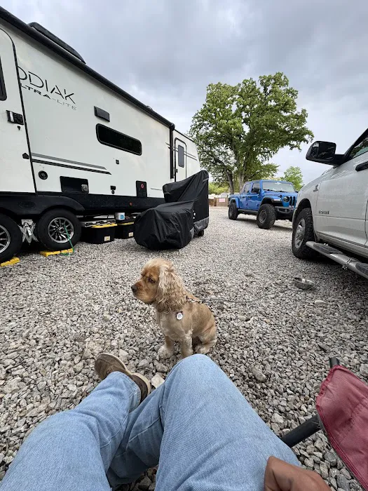 Dallas Shady Oaks RV Park & Tiny Home Community Picture 9